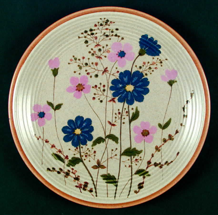 Pink & Pretty Dinner Plate by Mikasa-1