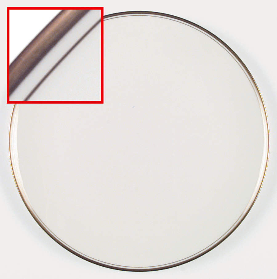 Vassar Dinner Plate by Mikasa-1