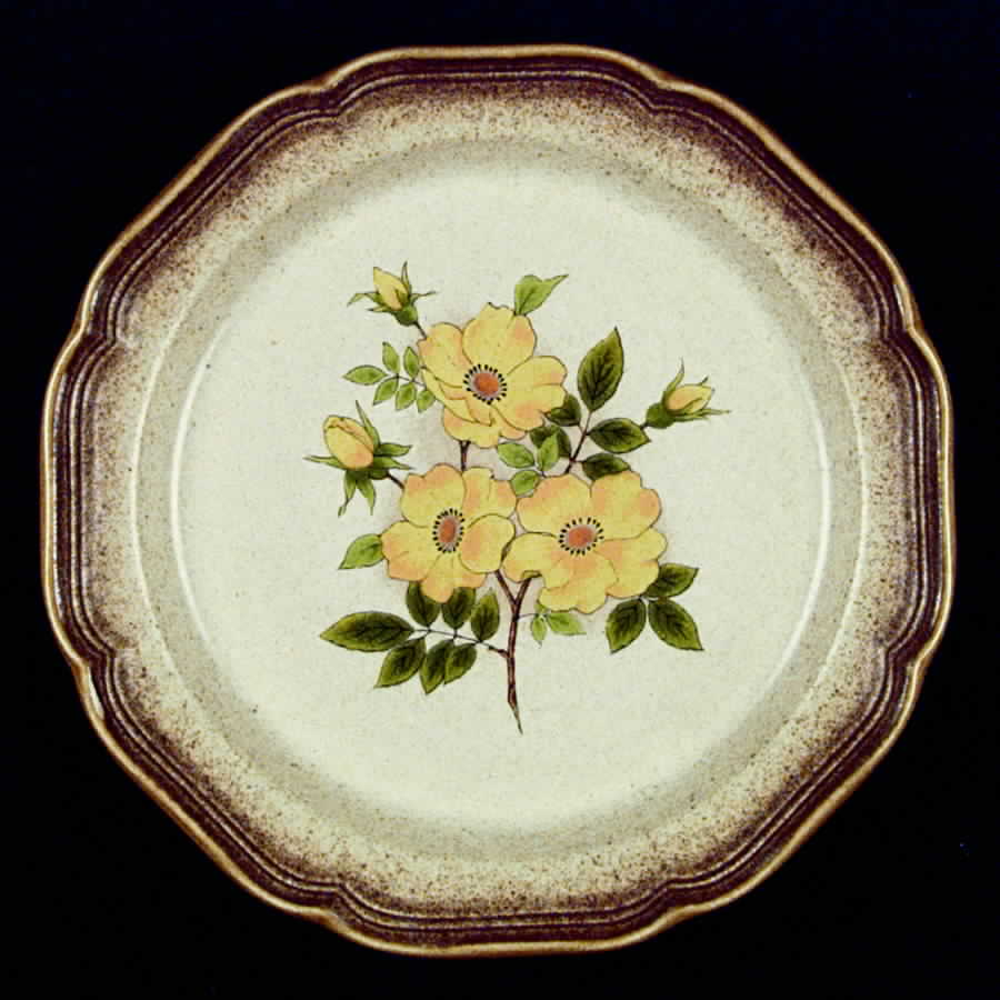 Wild Rose Dinner Plate by Mikasa-1