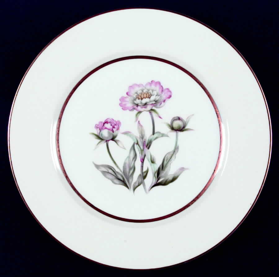 Harmony Dinner Plate by Mikado-1