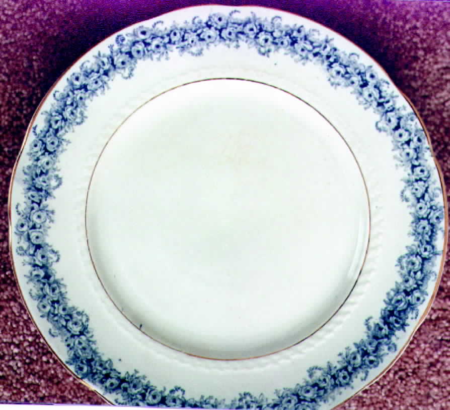 Rose Dinner Plate by Mellor Taylor-1