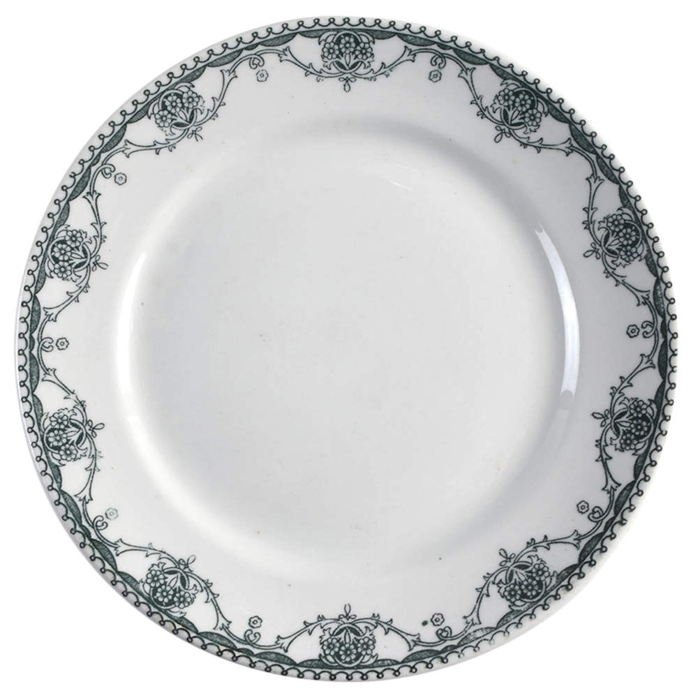 Marion Dinner Plate by Mayer (American)-1