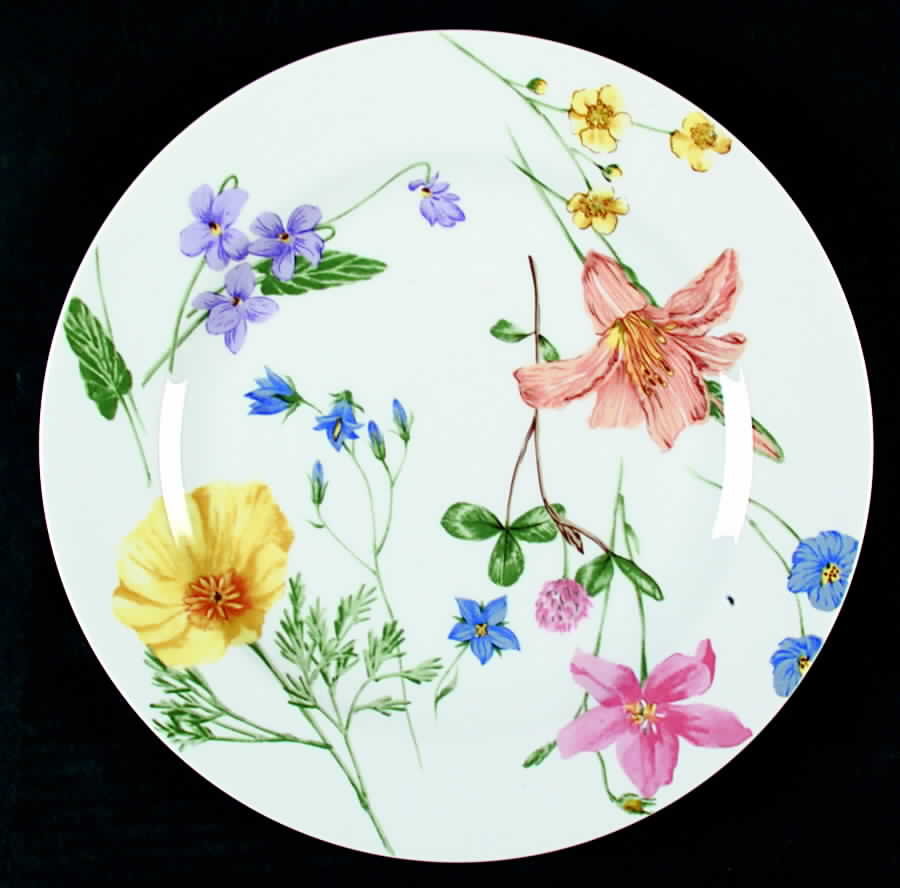 Floral Splendor Dinner Plate by Mikasa-1