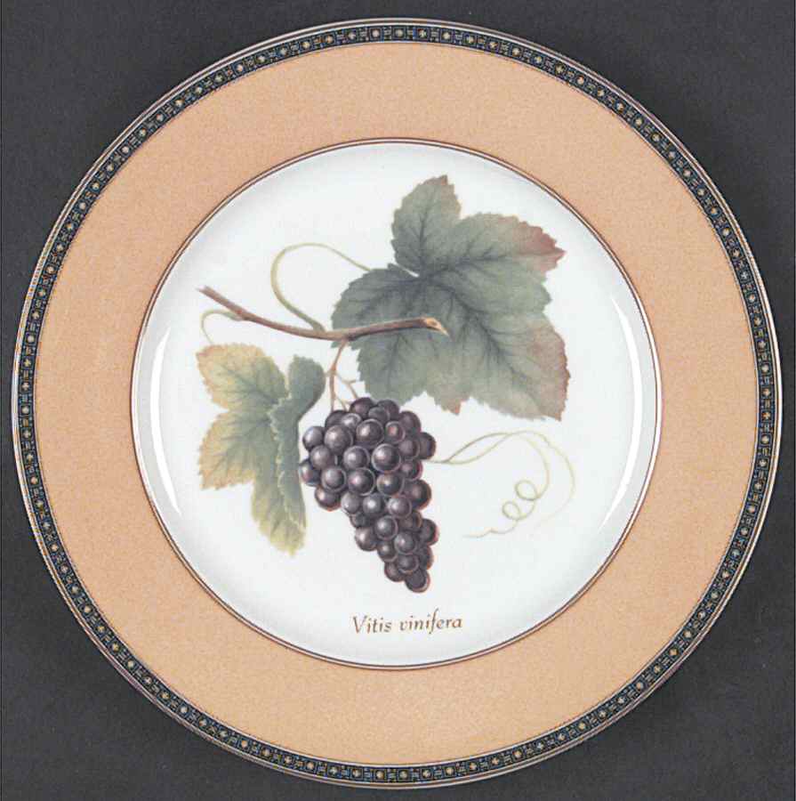 Fruit Odyssey Salad Plate by Mikasa-1