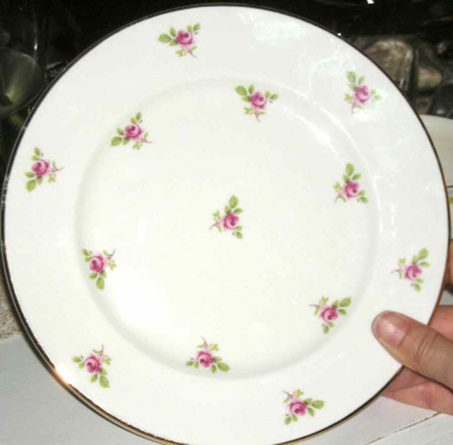 Scattered Rose Dinner Plate by Mayfair (England)-1