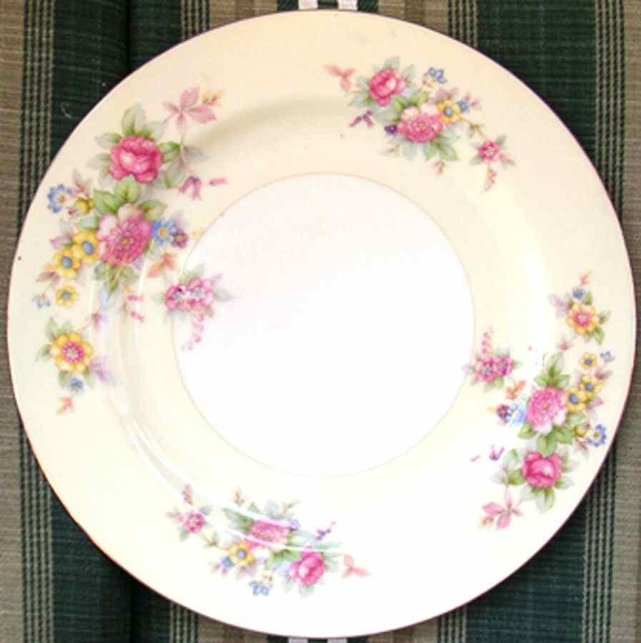 MSJ19 Dinner Plate by MS (Japan)-1
