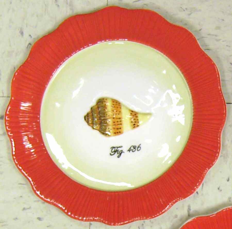 Out of the Shell Salad/Dessert Plate by Manual Woodworkers-1