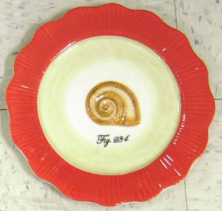 Out of the Shell Salad/Dessert Plate by Manual Woodworkers-1