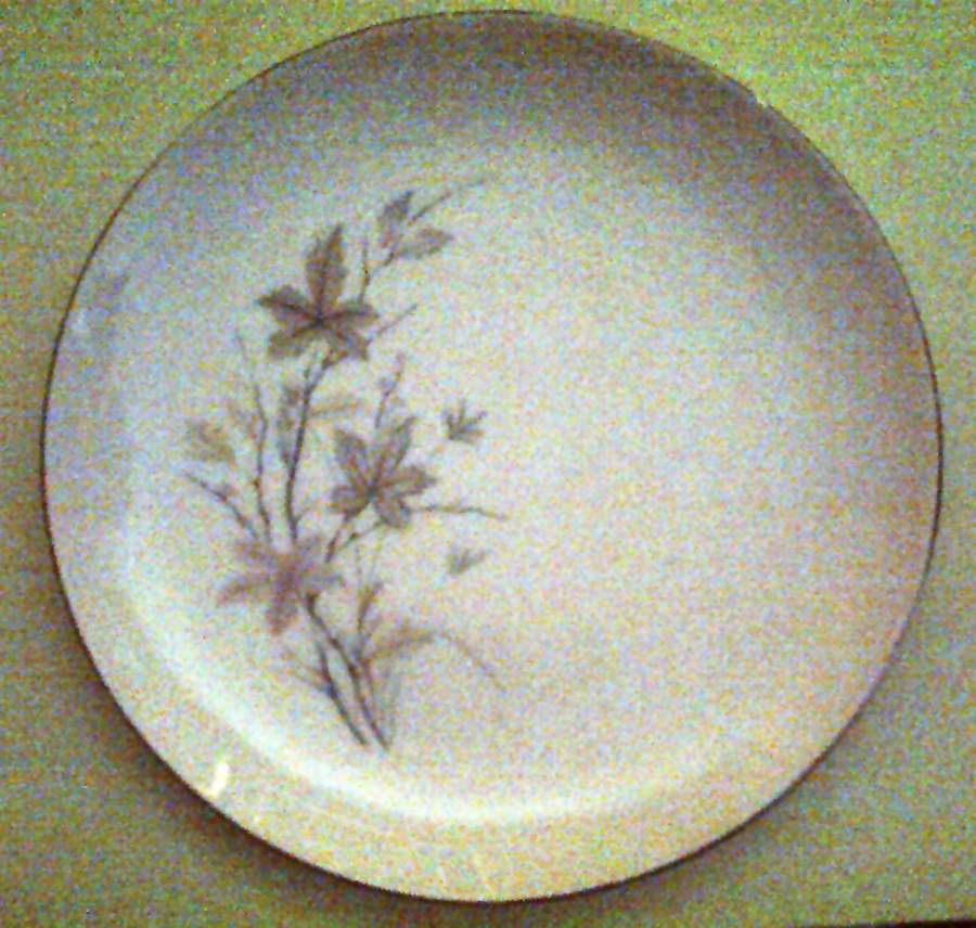 MTK37 Dinner Plate by Mitake-1