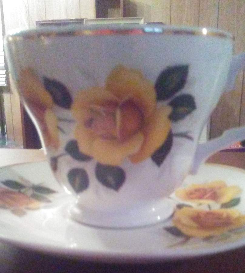MYF14 Footed Cup & Saucer Set by Mayfair (England)-1