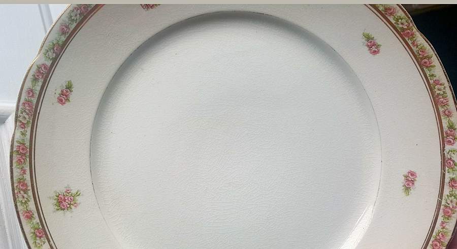 MCE54 Dinner Plate by Mercer-1