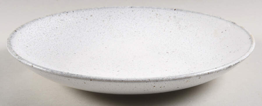 Wabi Sabi- Lichen 10" Individual Pasta Bowl by Miyama-1