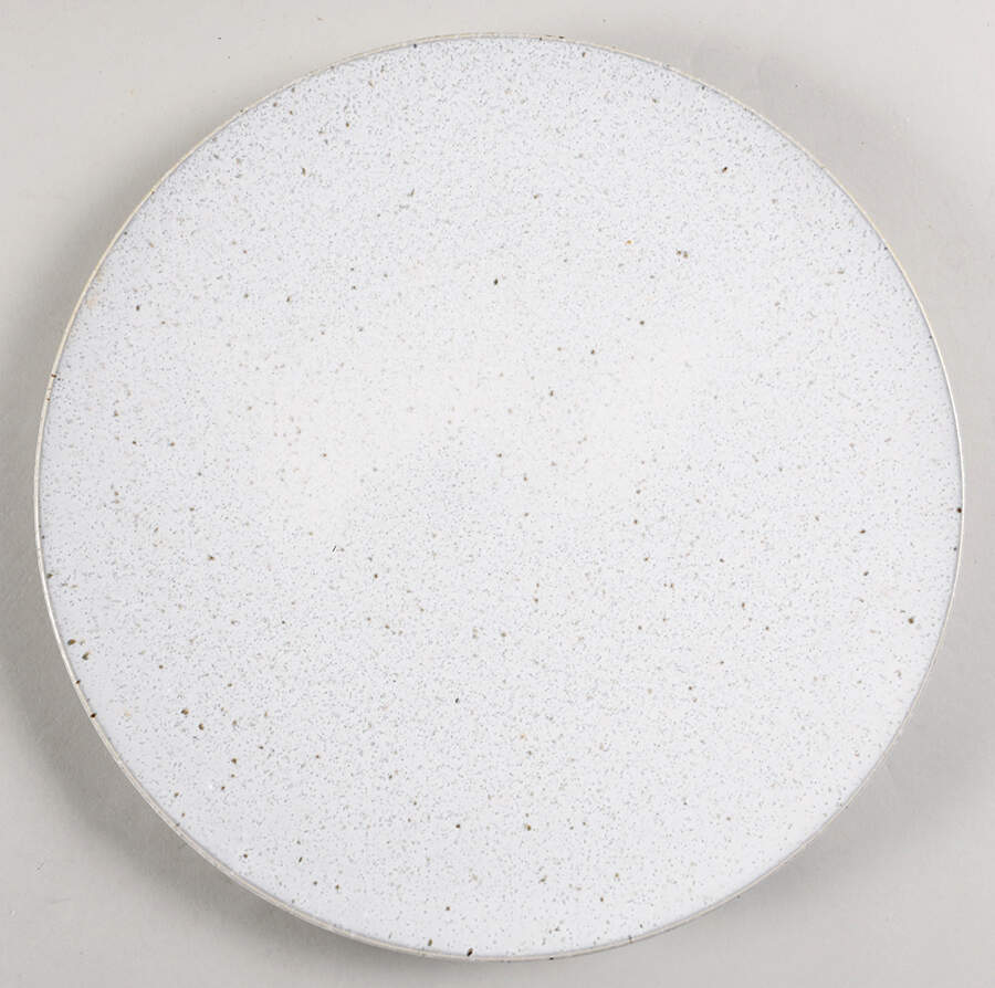 Wabi Sabi- Lichen Dinner Plate by Miyama-1