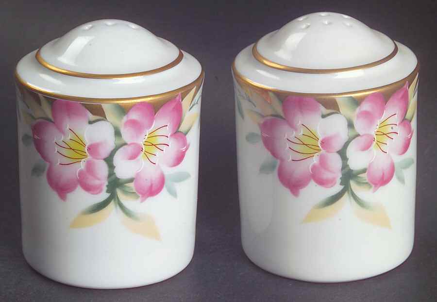 Azalea Salt & Pepper Set by Noritake-1