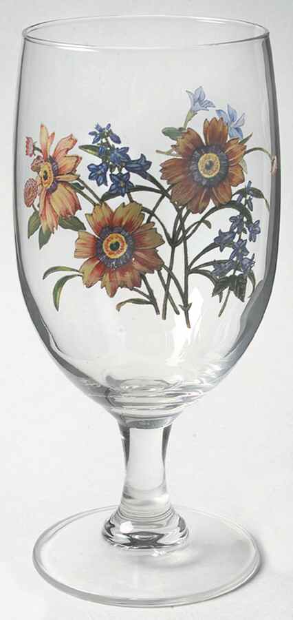 Gourmet Garden 16 Oz Glassware Iced Tea by Noritake-1