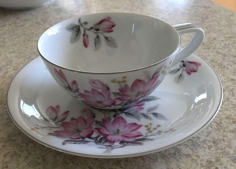 N517 Flat Cup & Saucer Set by Noritake-1