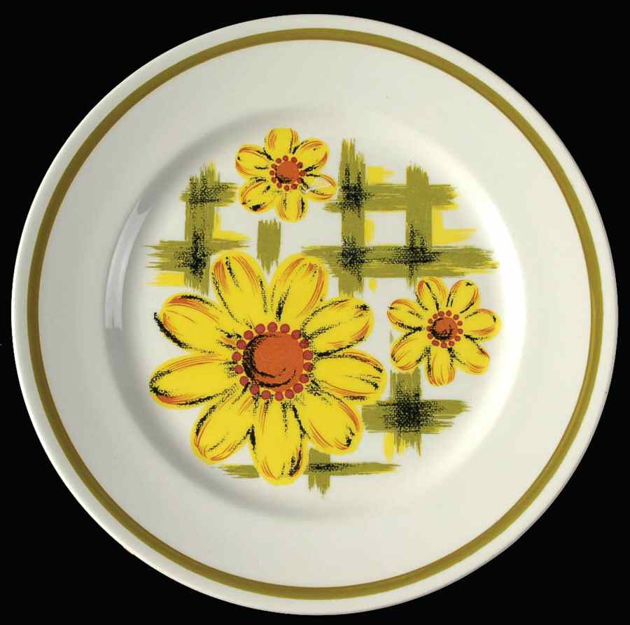 Gingham Dinner Plate by Nikko-1