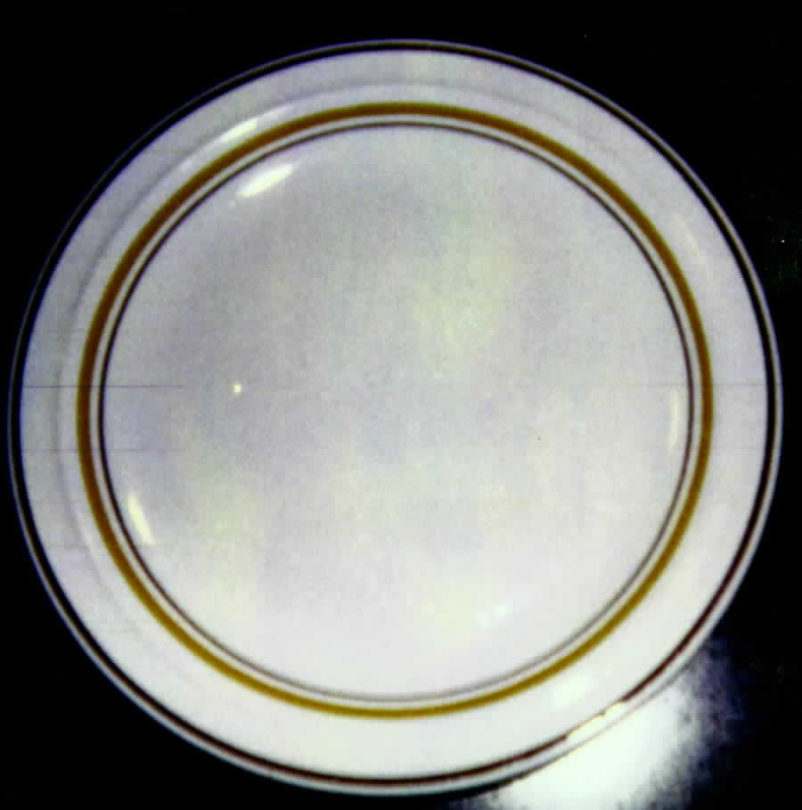 NIK16 Dinner Plate by Nikko-1