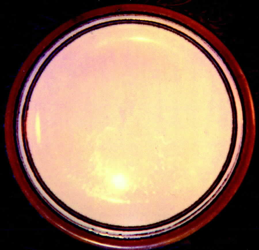 NIK33 Dinner Plate by Nikko-1