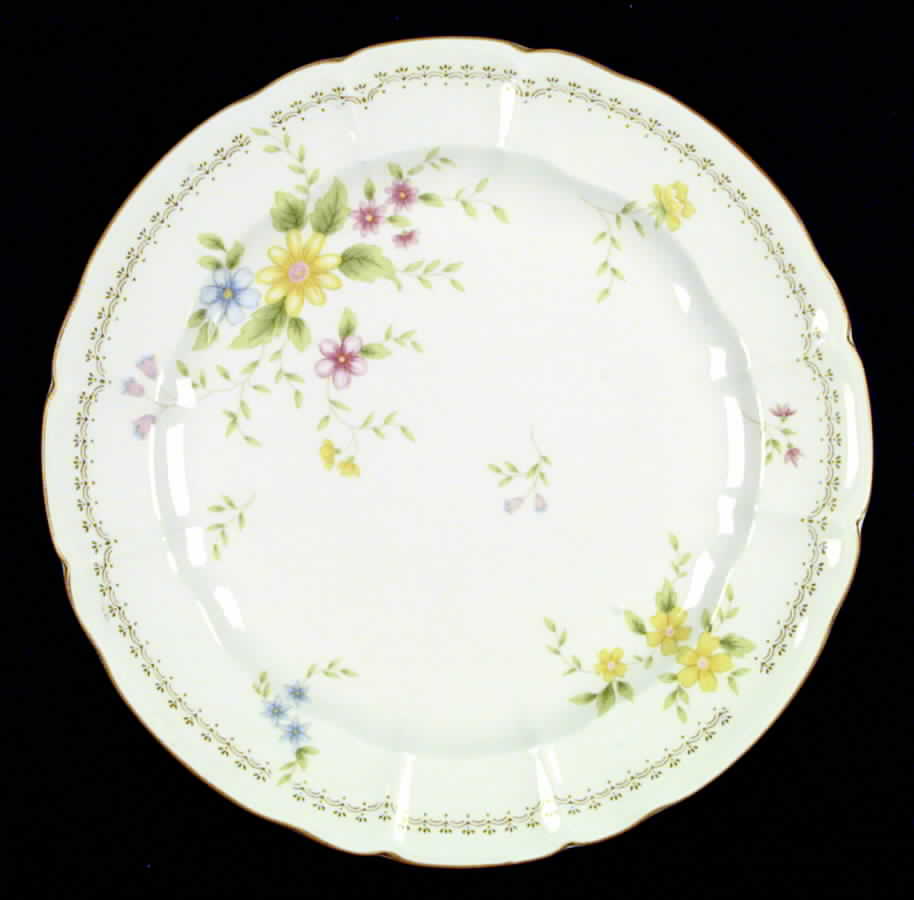 Splendor Dinner Plate by Nikko-1