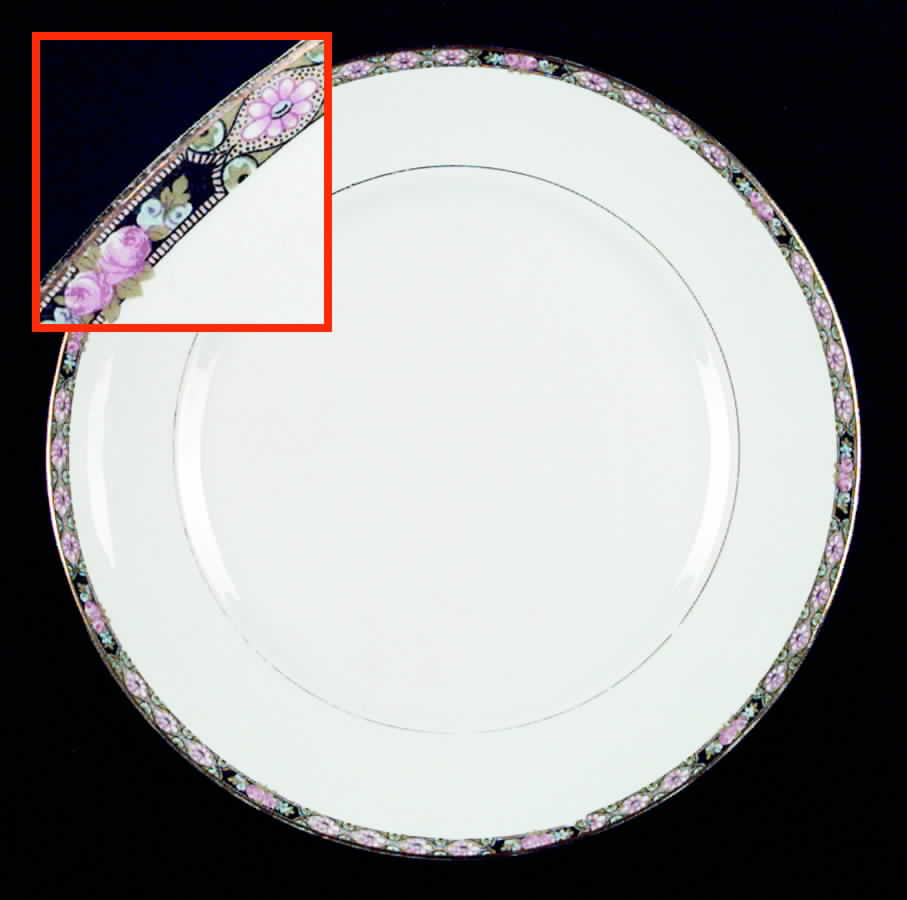 NAI9 Dinner Plate by National China (USA)-1