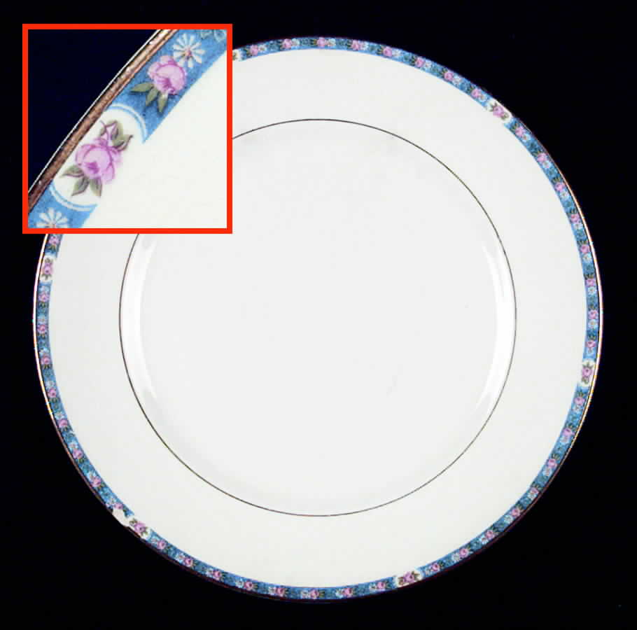 NAI11 Dinner Plate by National China (USA)-1