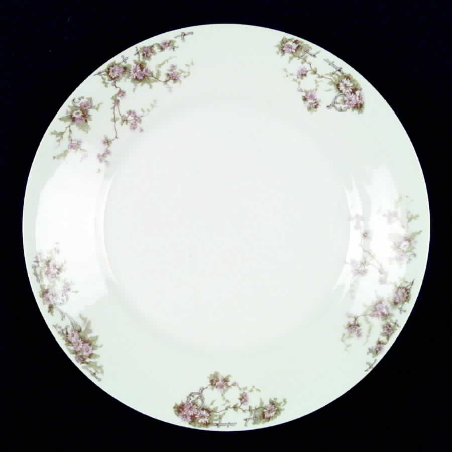 Nucnuc1 Dinner Plate by Nuremberg-1