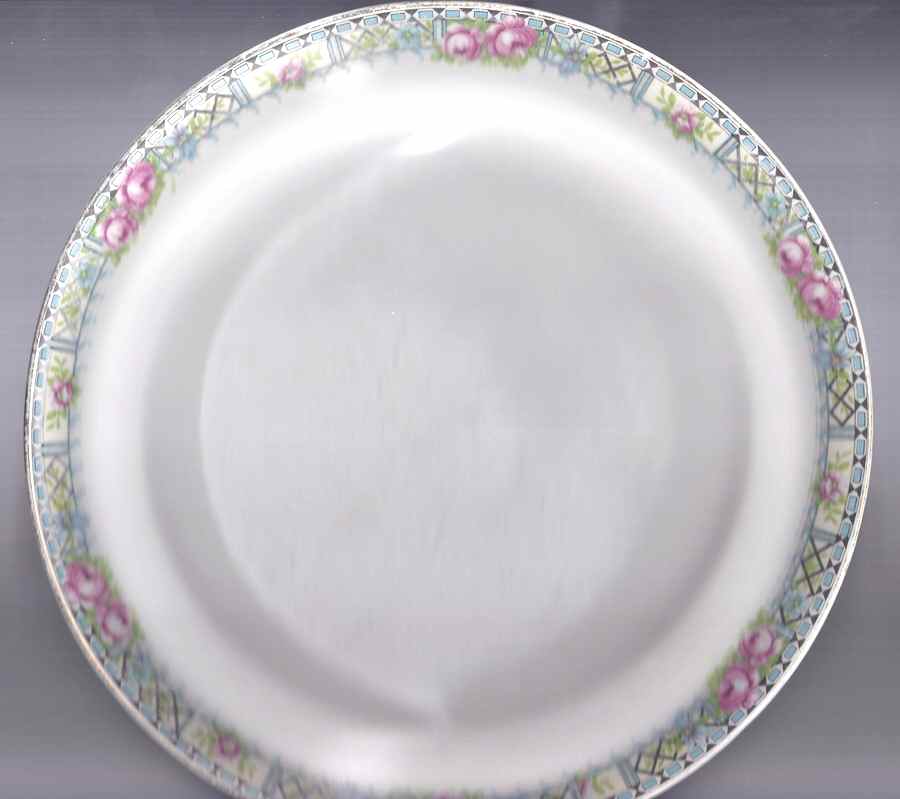 NAI12 Dinner Plate by National China (USA)-1