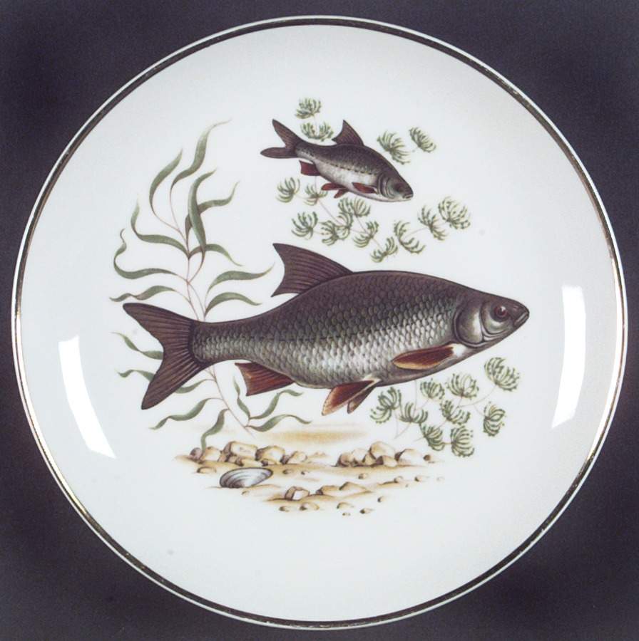 NAA2 Bread & Butter Plate by Naaman Israel-1