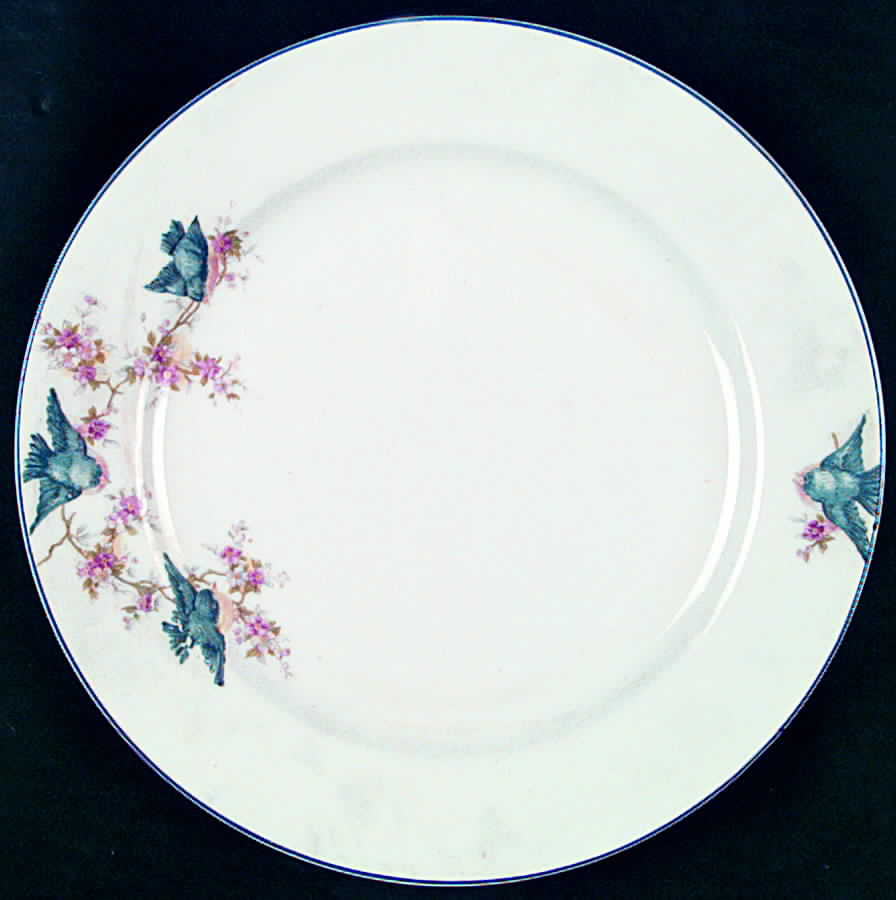 NAI14 Luncheon Plate by National China (USA)-1