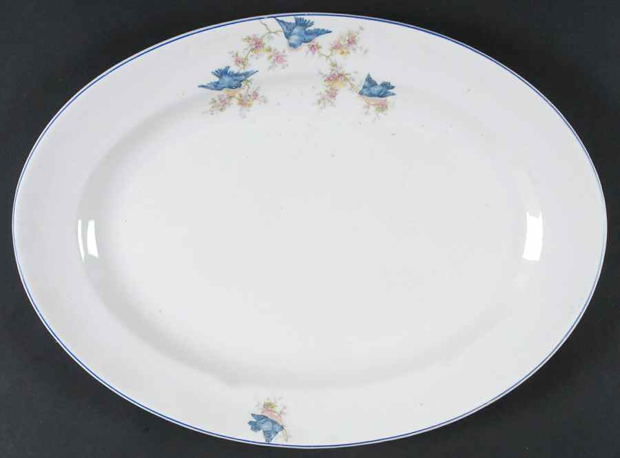 NAI14 15" Oval Serving Platter by National China (USA)-1
