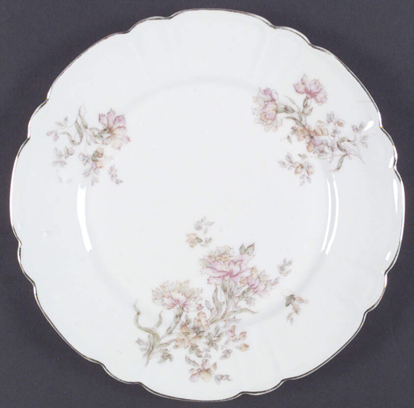 NIF1 Dinner Plate by Nicolaus Franz-1
