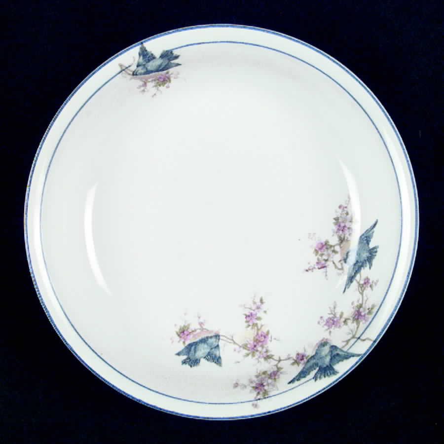 NAI20 Coupe Soup Bowl by National China (USA)-1