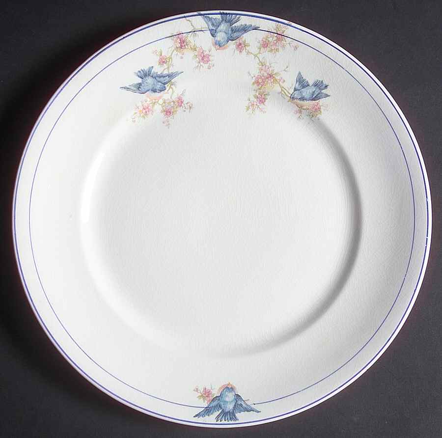 NAI20 Dinner Plate by National China (USA)-1