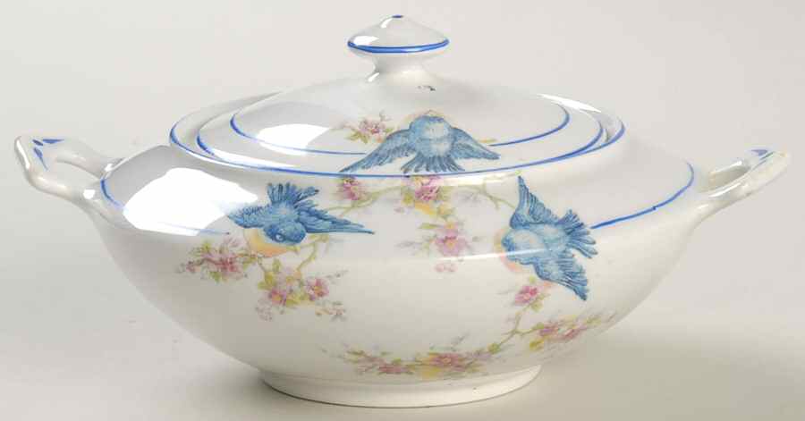 NAI20 Sugar Bowl & Lid by National China (USA)-1
