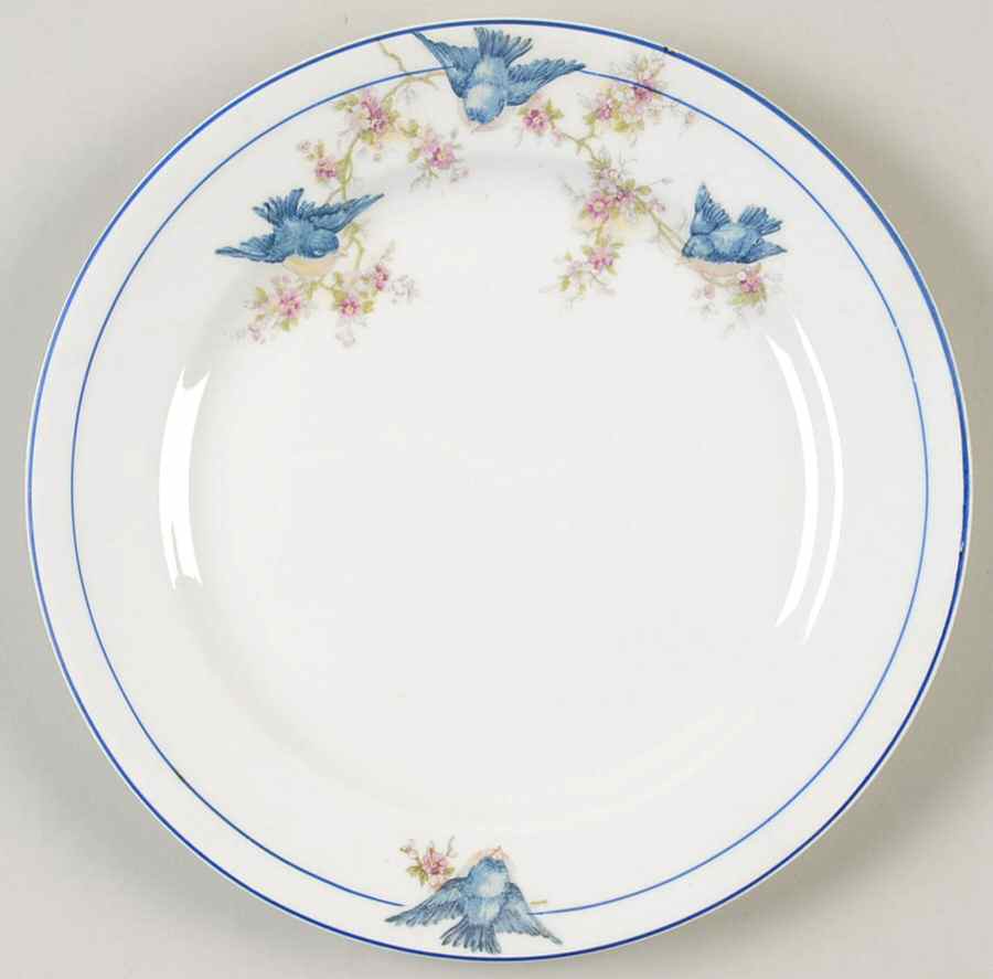 NAI20 Salad Plate by National China (USA)-1