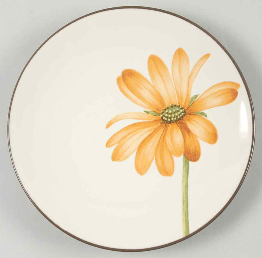 Colorwave Chocolate Appetizer Plate by Noritake-1