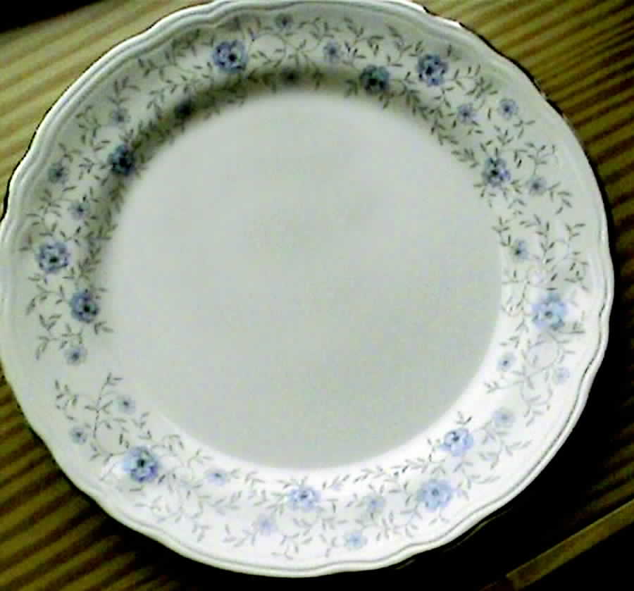 NSA1 Dinner Plate by Nueva San Isidro-1
