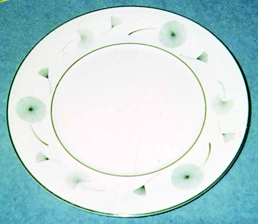 Musette Dinner Plate by Norleans-1