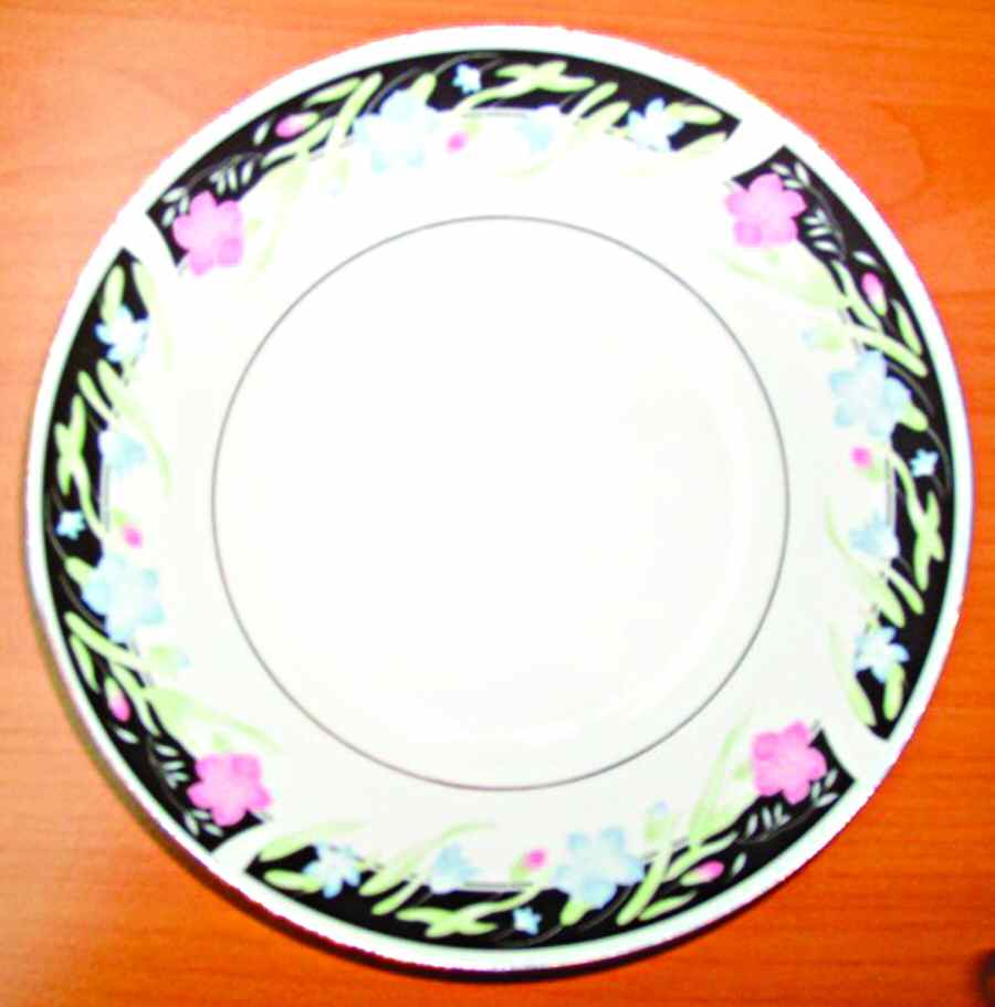 NON2 Rim Fruit/Dessert (Sauce) Bowl by Noritex China-1