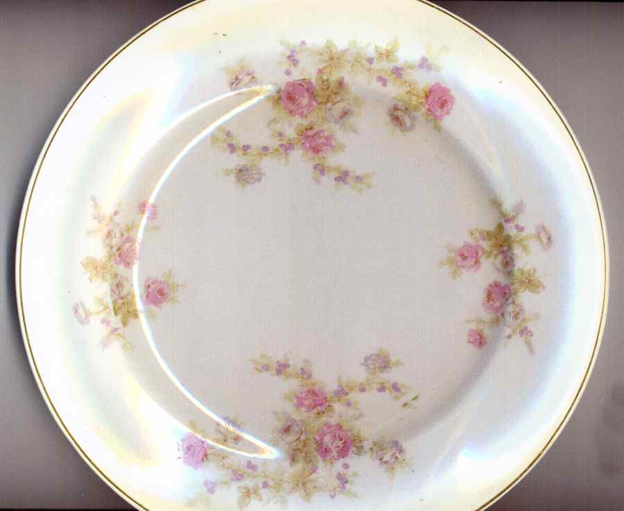 NAI29 Dinner Plate by National China (USA)-1