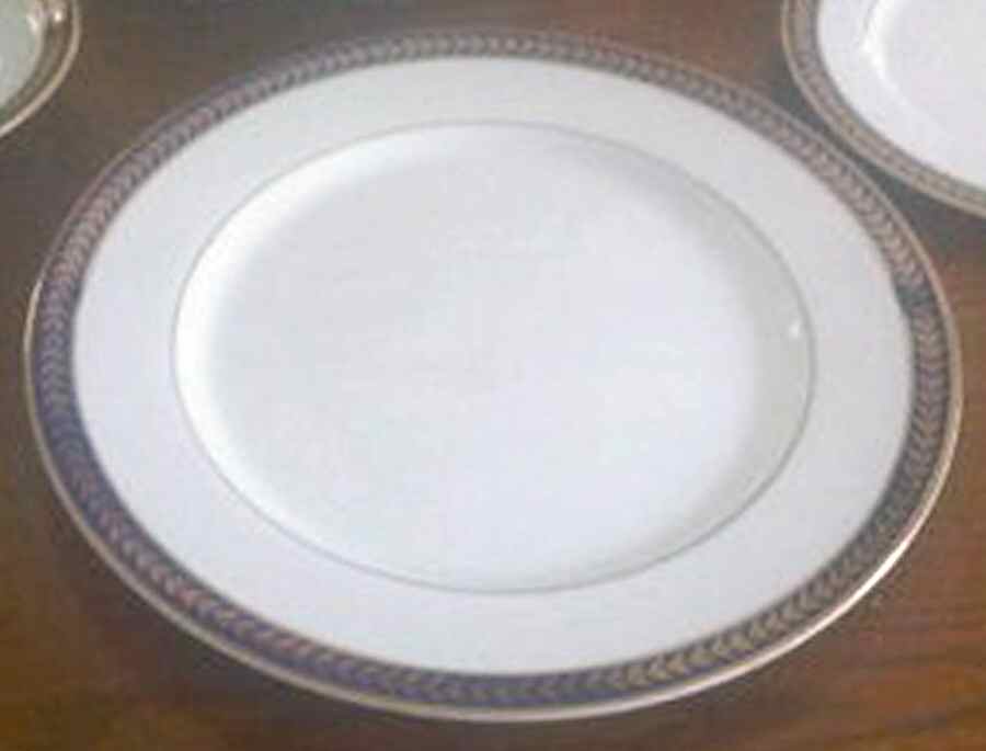 Zita Dinner Plate by Nitto-1