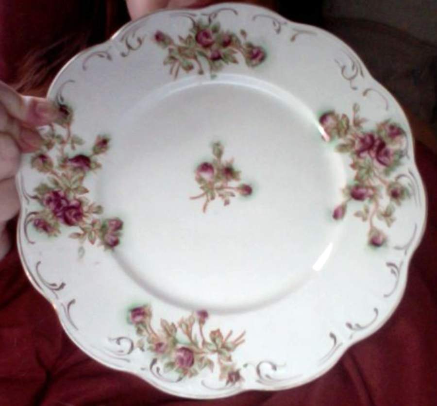 NAI38 Dinner Plate by National China (USA)-1