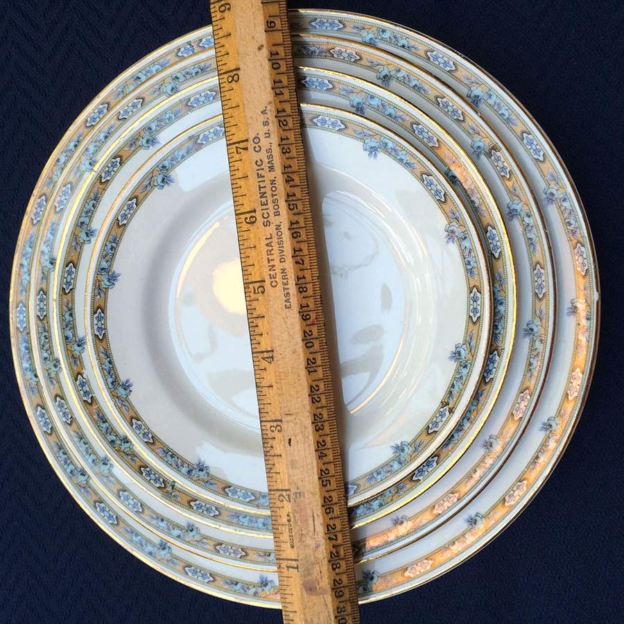 NAI39 Dinner Plate by National China (USA)-1