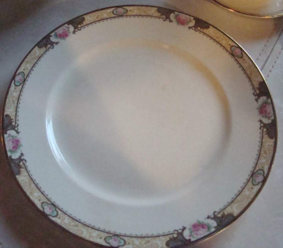 NAI41 Dinner Plate by National China (USA)-1