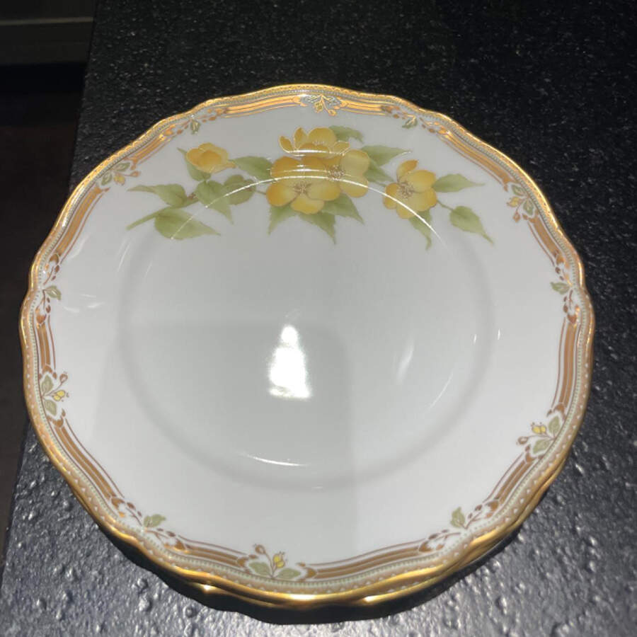 Gala Contessa Salad Plate by Noritake-1