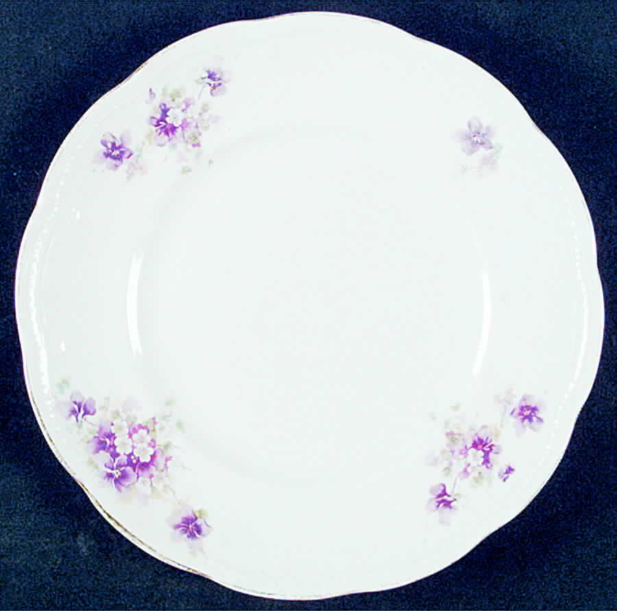 OWE12 Salad Plate by Edward J Owen China-1