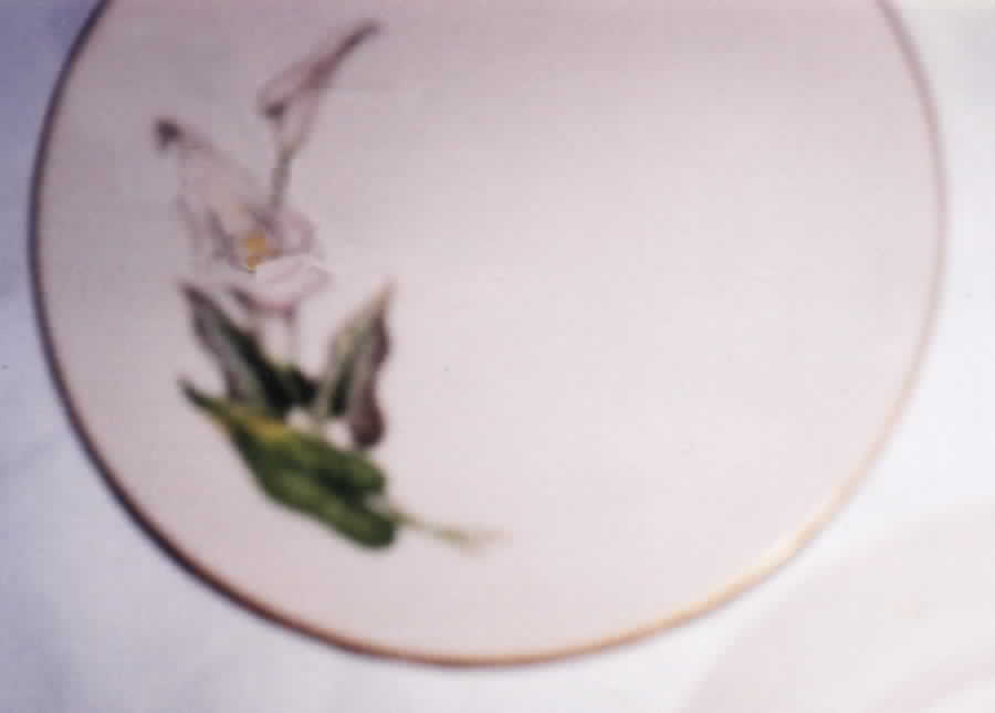 Lily Salad Plate by Ohata-1