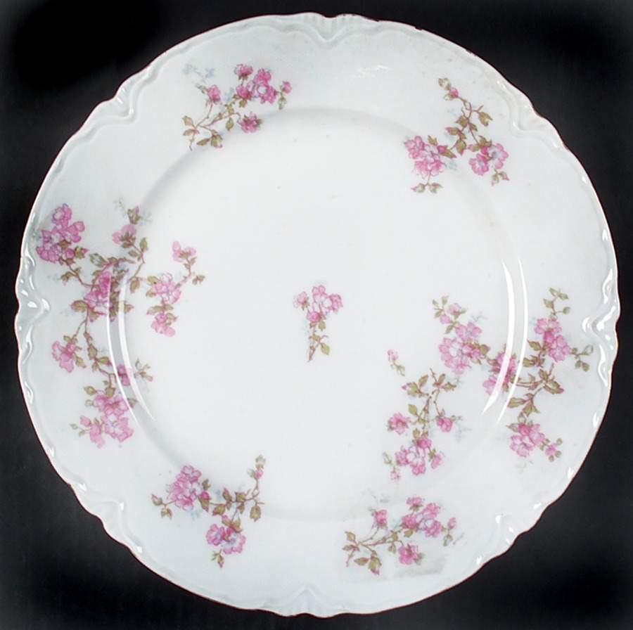 OSG127 Dinner Plate by Oscar & Edgar Gutherz-1