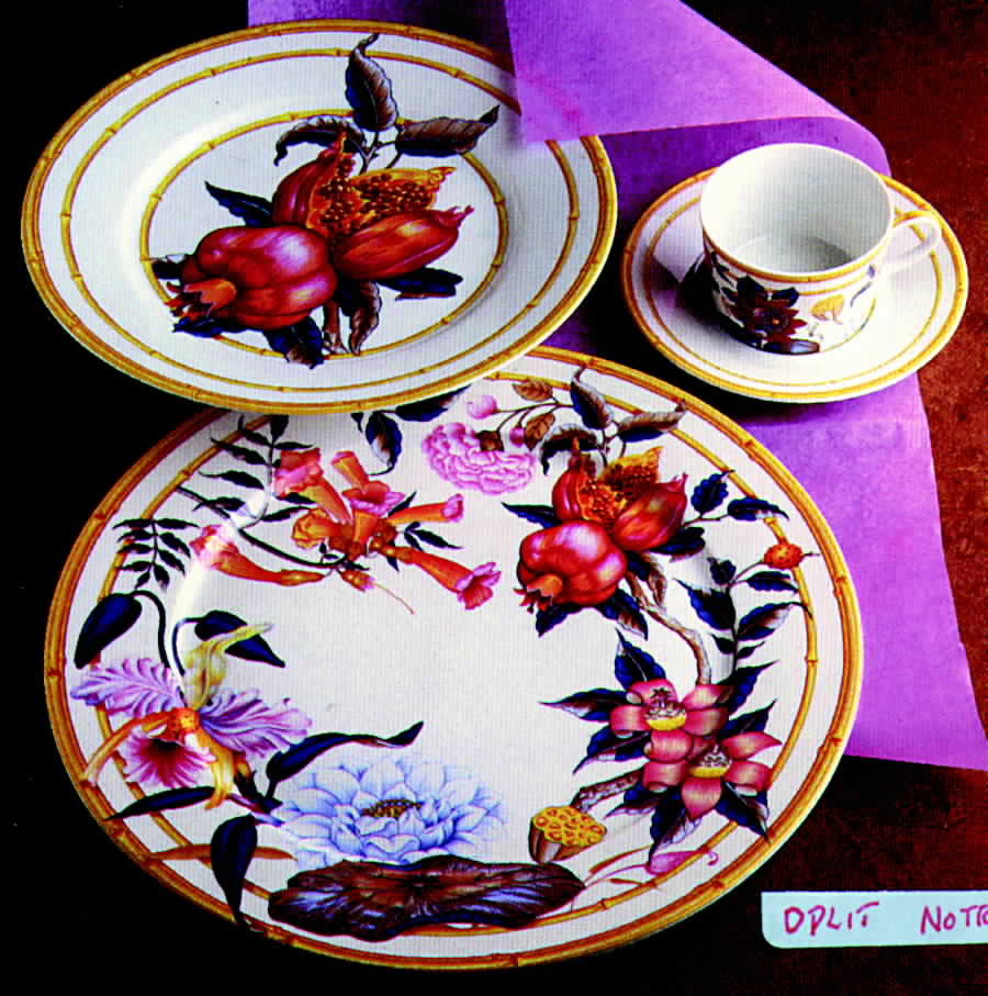 Aurore Tropicale Dinner Plate by Porcelaine De Paris-1